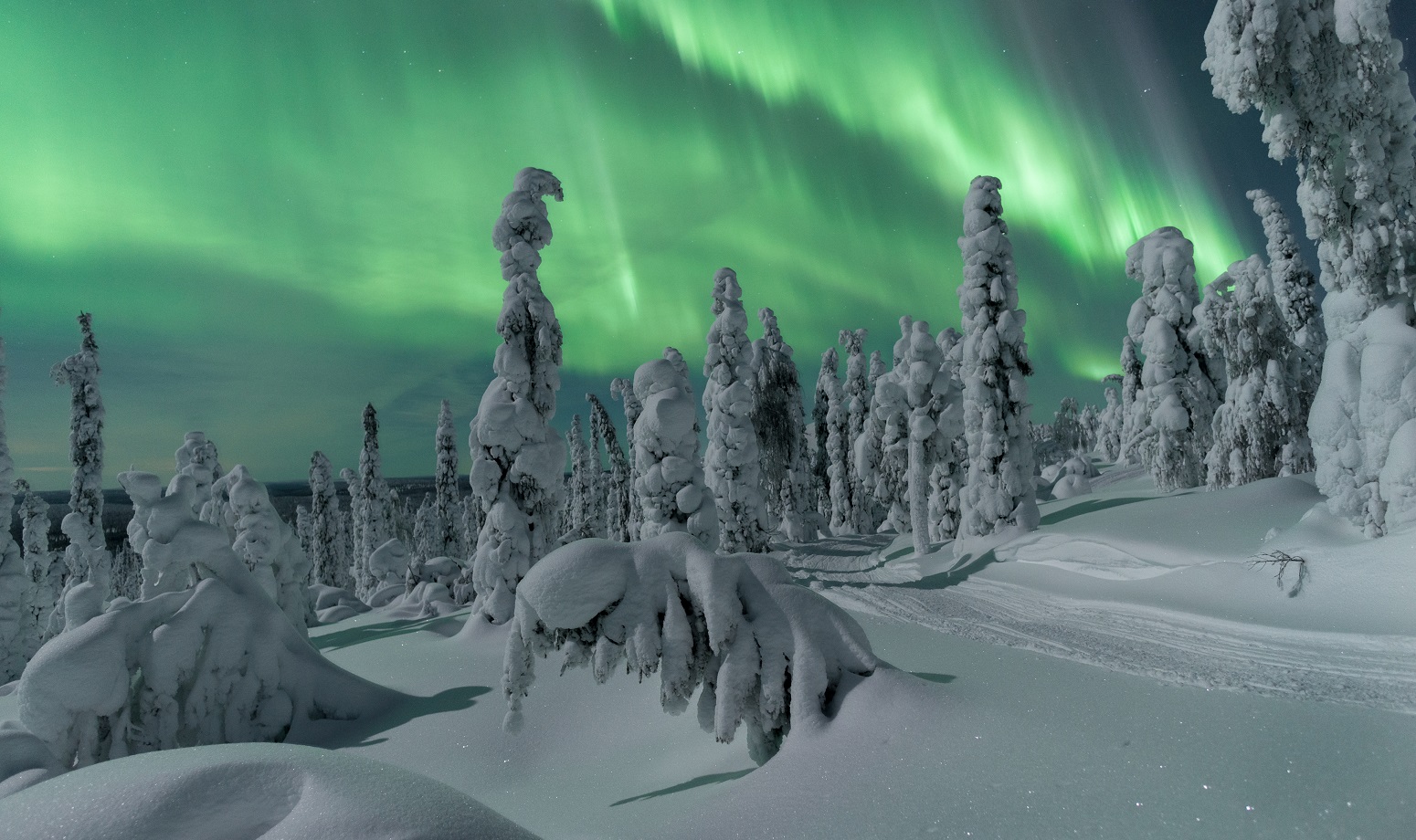 salla aurora boreal viaje a laponia